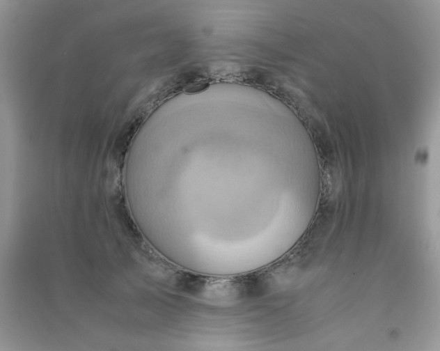 X0000091010705200708161959