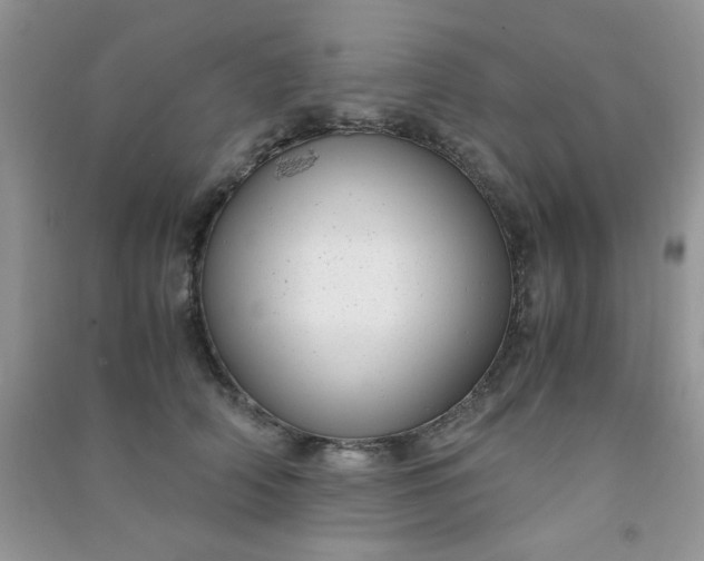 X0000091010706200708161959