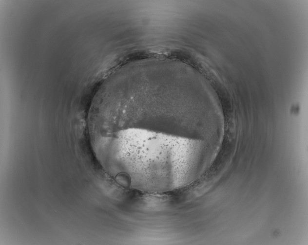 X0000091010707200708161959