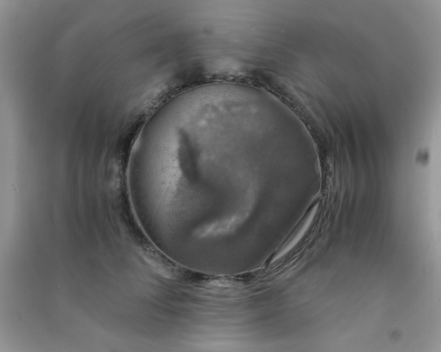 X0000091010708200708161959