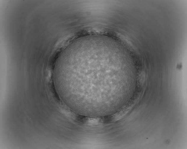 X0000091010709200708161959