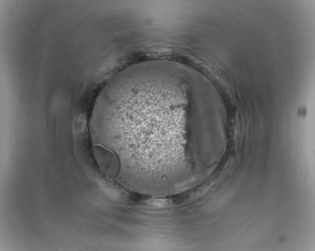 X0000091010711200708161958