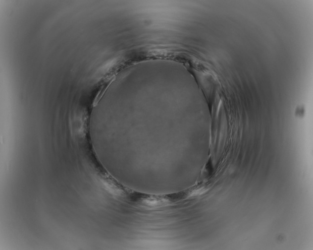 X0000091010712200708161958