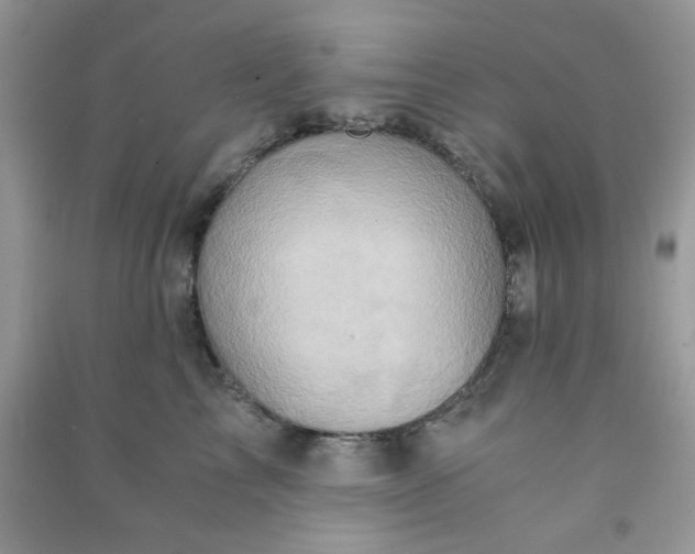 X0000091010713200708161958