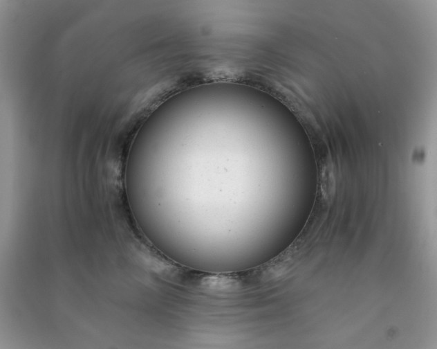 X0000091010714200708161958