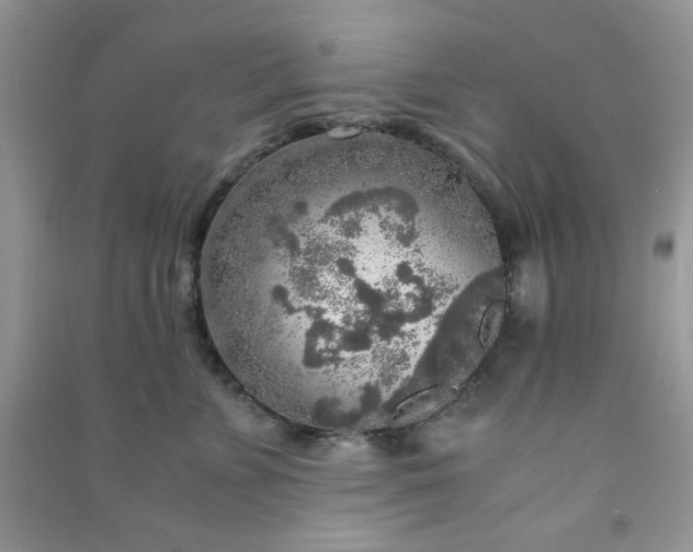 X0000091010715200708161958