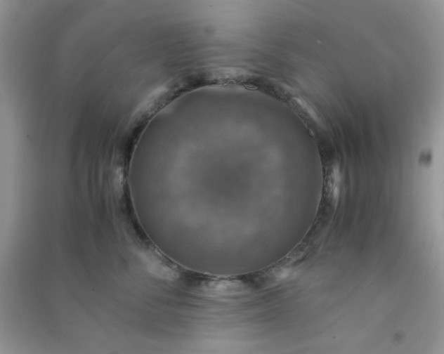 X0000091010716200708161958