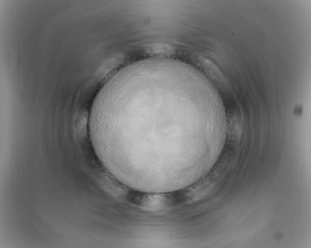 X0000091010717200708161958