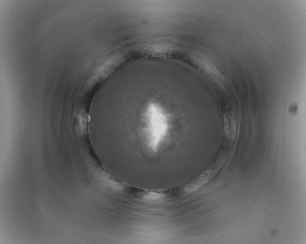 X0000091010718200708161958