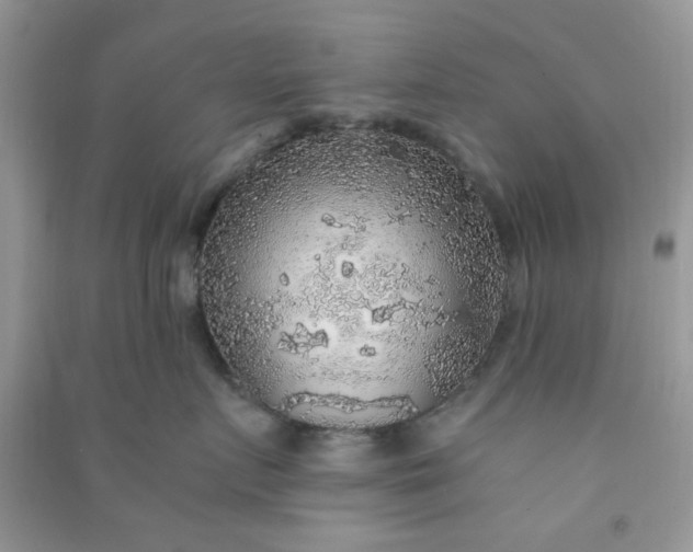 X0000091010719200708161958