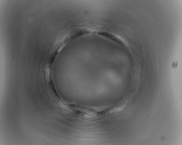 X0000091010720200708161958