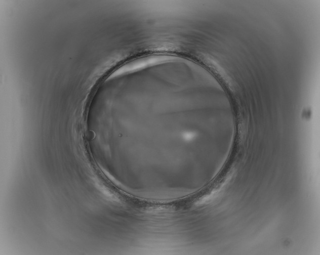 X0000091010721200708161958