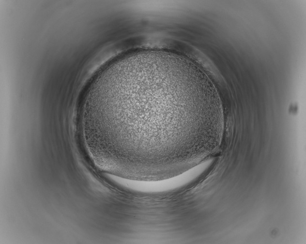 X0000091010722200708161958