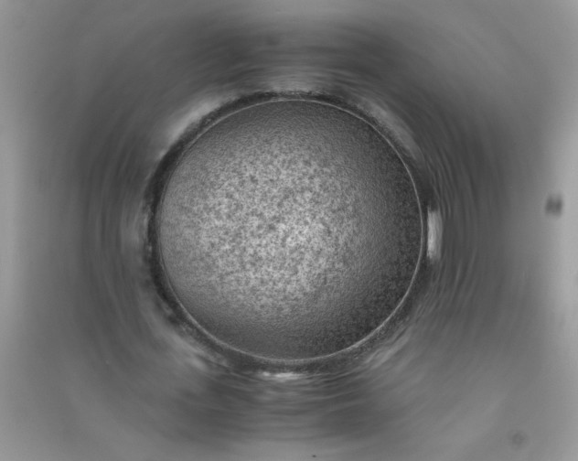 X0000091010723200708161958