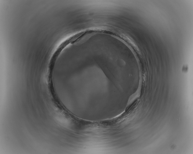 X0000091010724200708161958