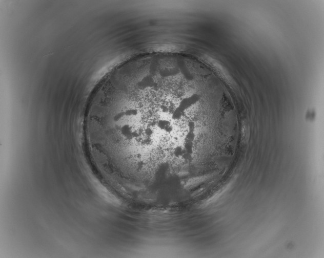 X0000091010725200708161958