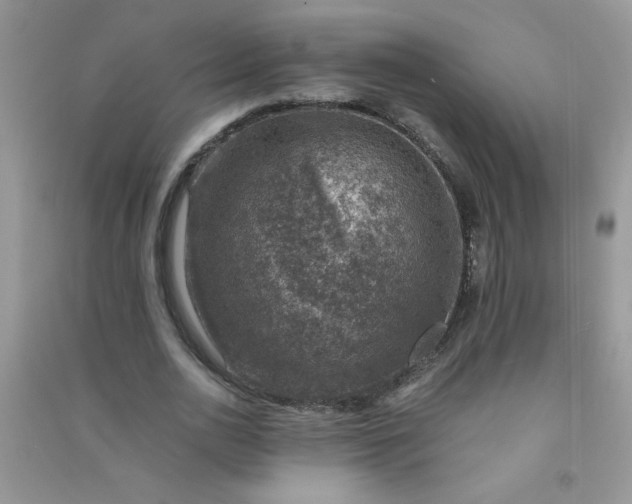 X0000091010726200708161958