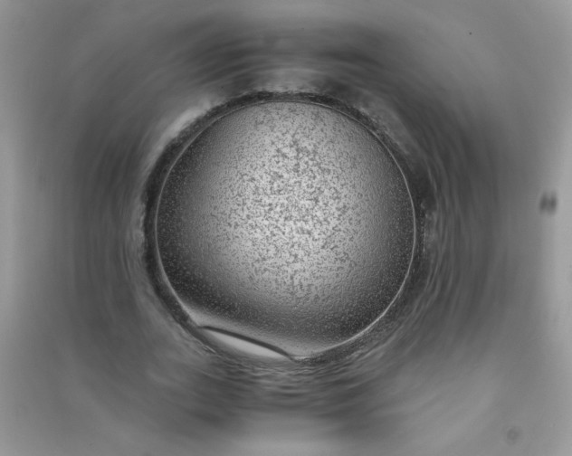 X0000091010727200708161958