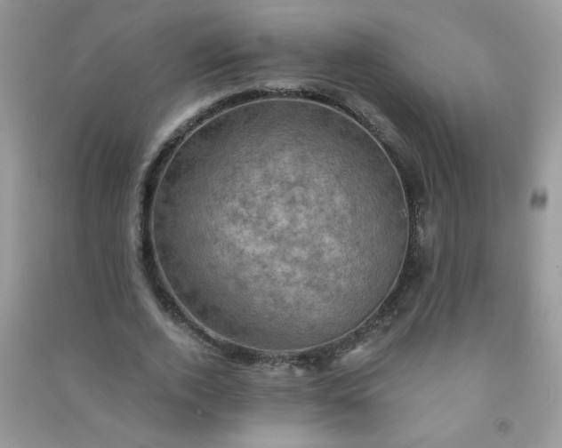 X0000091010728200708161958