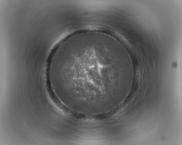 X0000091010730200708161958