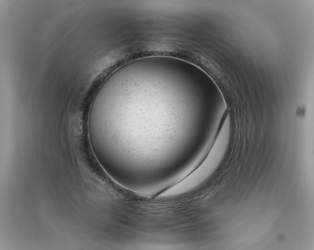 X0000091010731200708161958