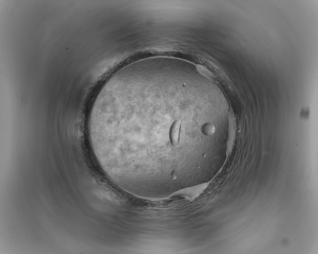 X0000091010732200708161958