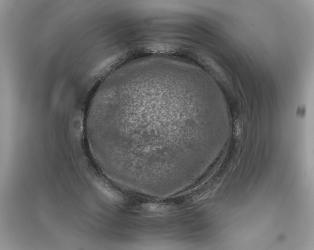 X0000091010733200708161958