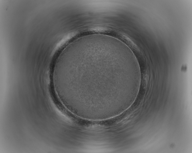 X0000091010734200708161958