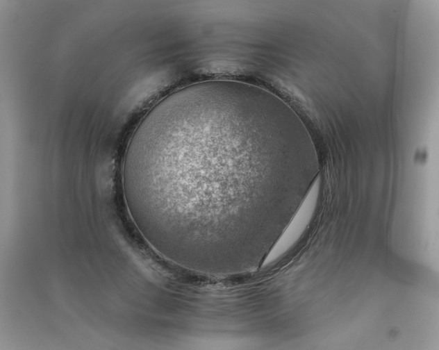 X0000091010735200708161958