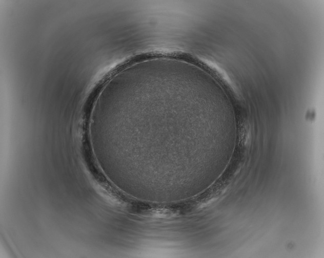 X0000091010736200708161958