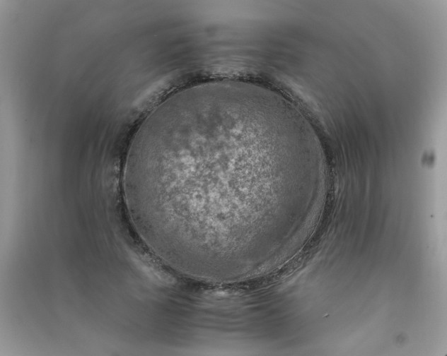 X0000091010737200708161958