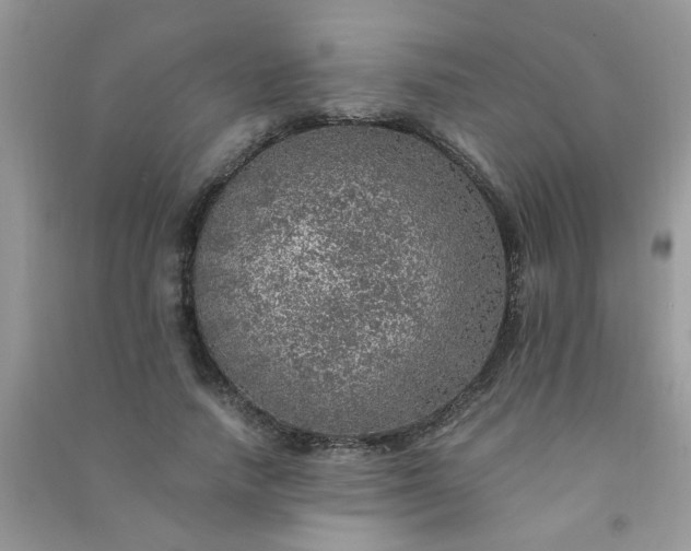 X0000091010738200708161958