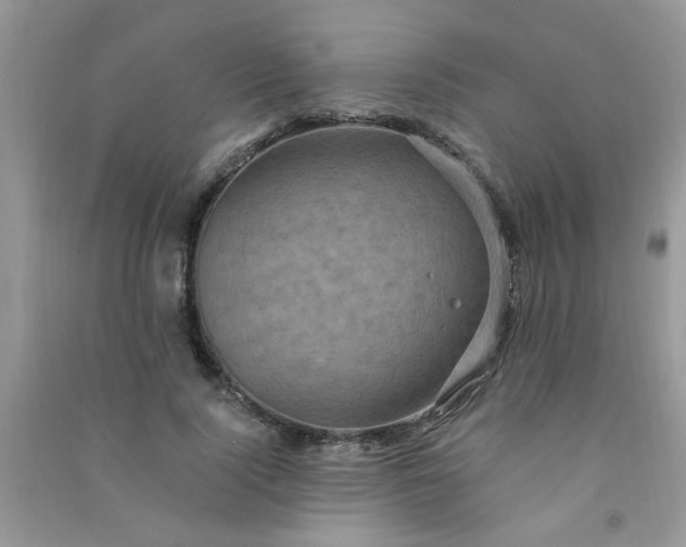 X0000091010740200708161958