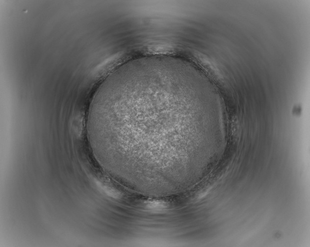 X0000091010741200708161958