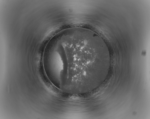 X0000091010742200708161958