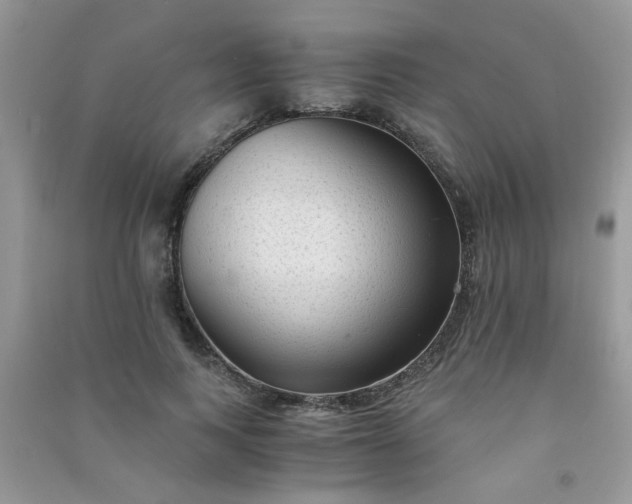 X0000091010743200708161958