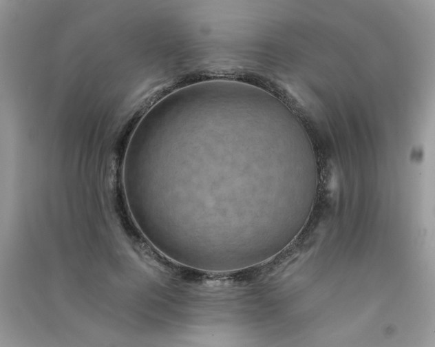 X0000091010744200708161958