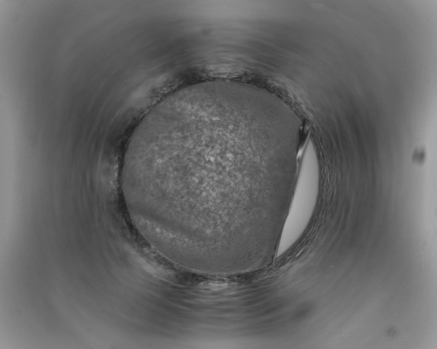 X0000091010745200708161958