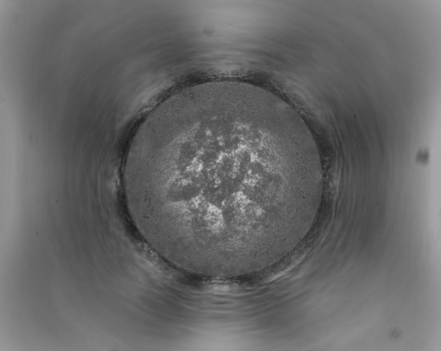 X0000091010746200708161958