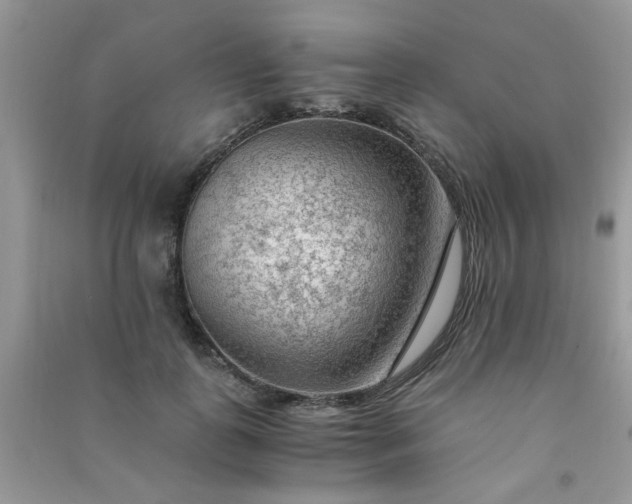 X0000091010747200708161958