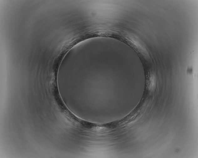 X0000091010748200708161958