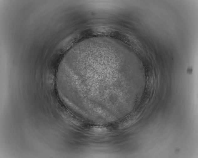 X0000091010749200708161958