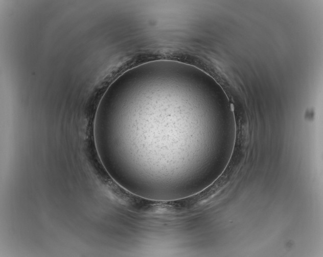 X0000091010750200708161958