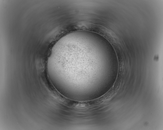 X0000091010751200708161958