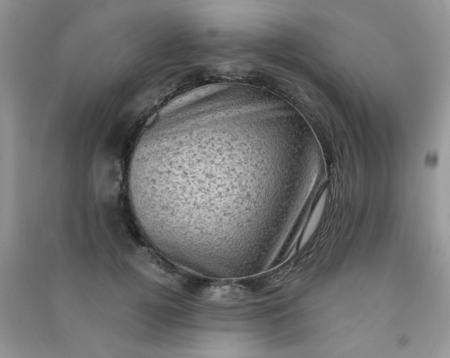 X0000091010752200708161958