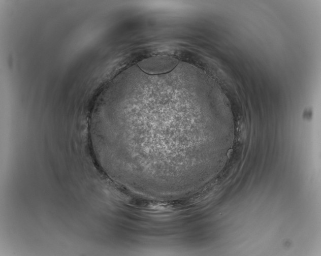 X0000091010753200708161958