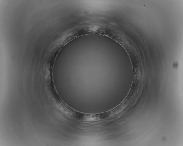 X0000091010754200708161958