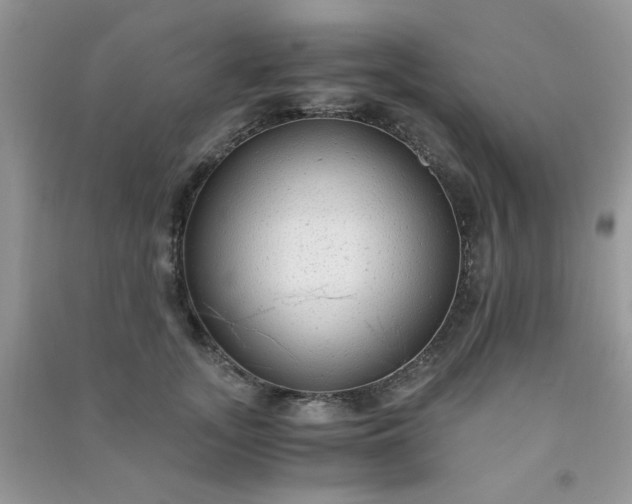 X0000091010755200708161958