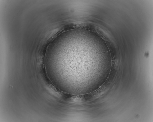 X0000091010756200708161958