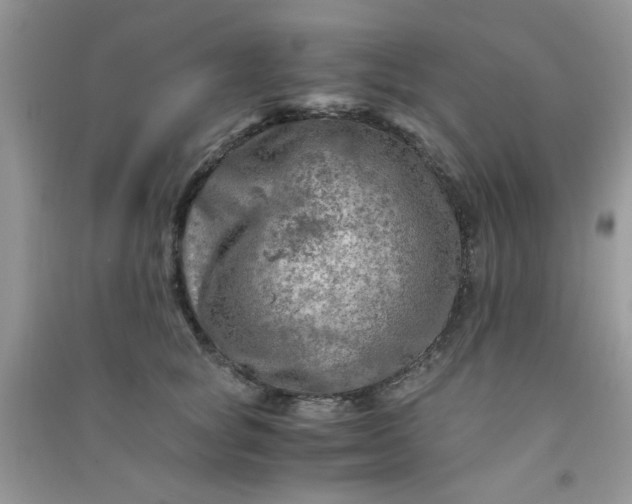 X0000091010757200708161958